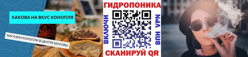 цена   Малмыж  Canna-Cookies конопля 