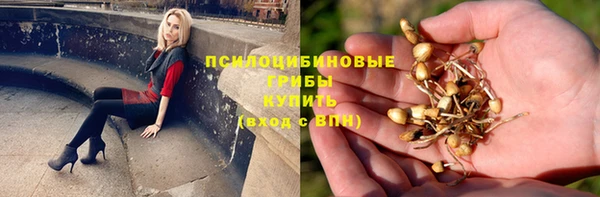 мет Балахна